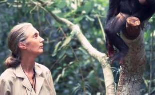 World-renowned scientist Dr. Jane Goodall. (Photo via Jane Goodall Institute’s Instragram page.) World-renowned scientist Dr. Jane Goodall. (Photo via Jane Goodall Institute’s Instragram page.)