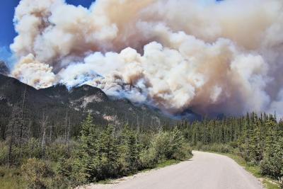 Devastating wildfires tore through Jasper National Park this summer. (Photo via X.)