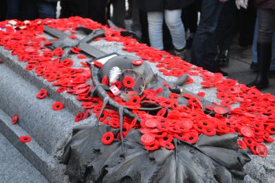 Poppies cover the Tomb of the Unknown Soldier in Ottawa on Remembrance Day. (Photo: Benoit Rochon via Wikimedia Commons.)