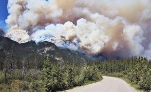 Devastating wildfires tore through Jasper National Park this summer. (Photo via X.)