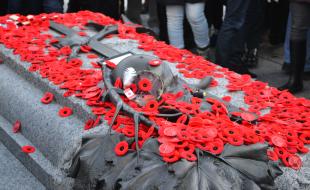 Poppies cover the Tomb of the Unknown Soldier in Ottawa on Remembrance Day. (Photo: Benoit Rochon via Wikimedia Commons.)